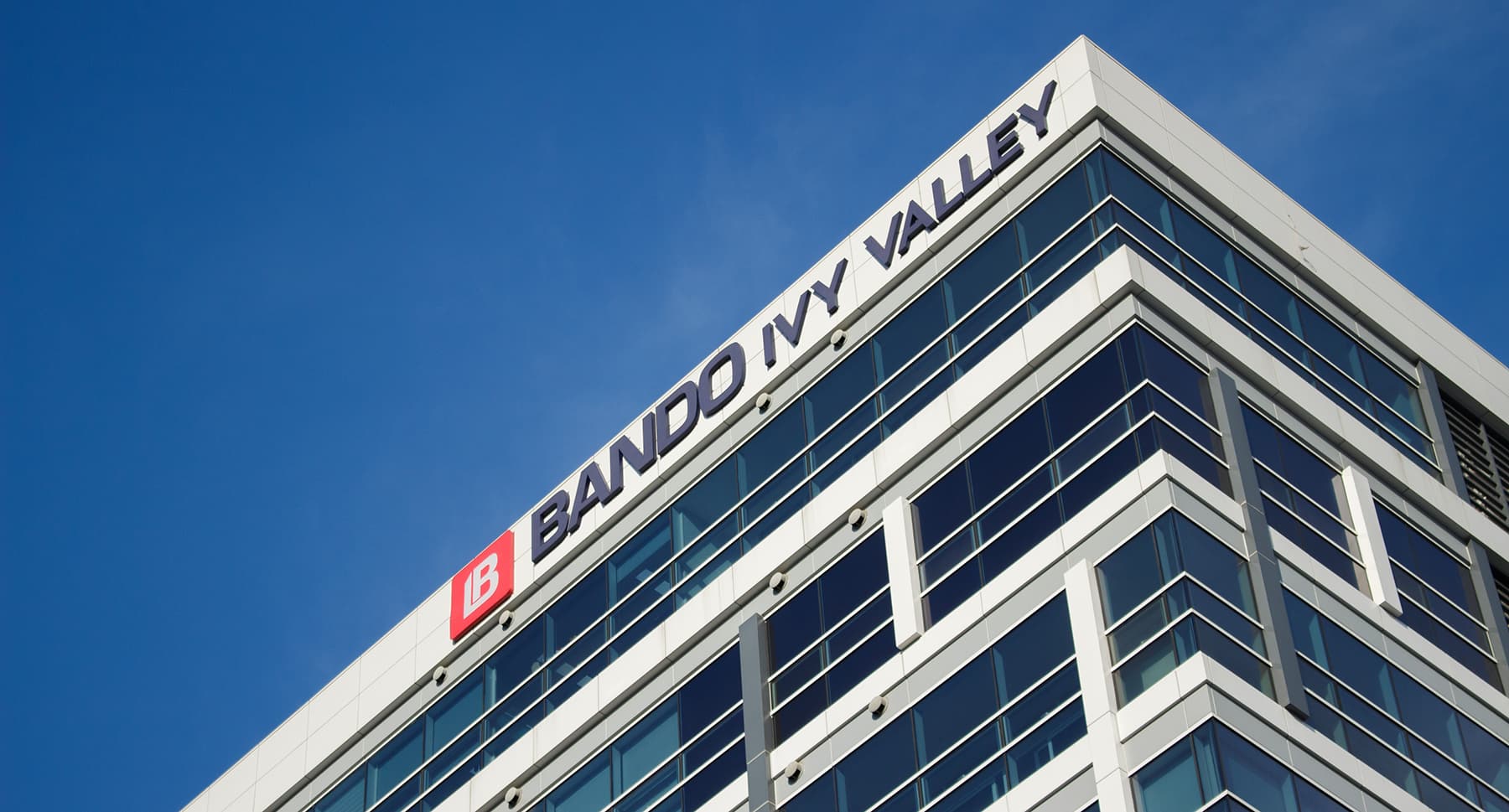 더데이비포 회사 로고 사진